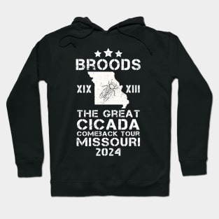 Great Cicada Comeback Tour Missouri 2024 - Insect Invasion Vintage Hoodie